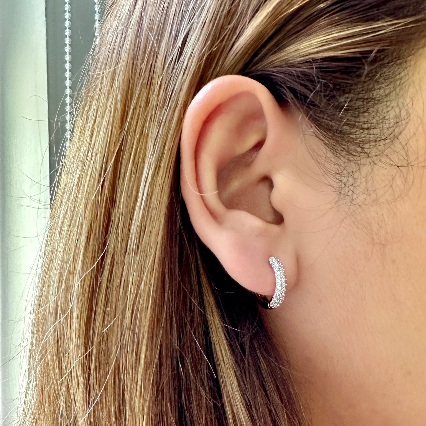 Detachable Carabiner Link Earrings