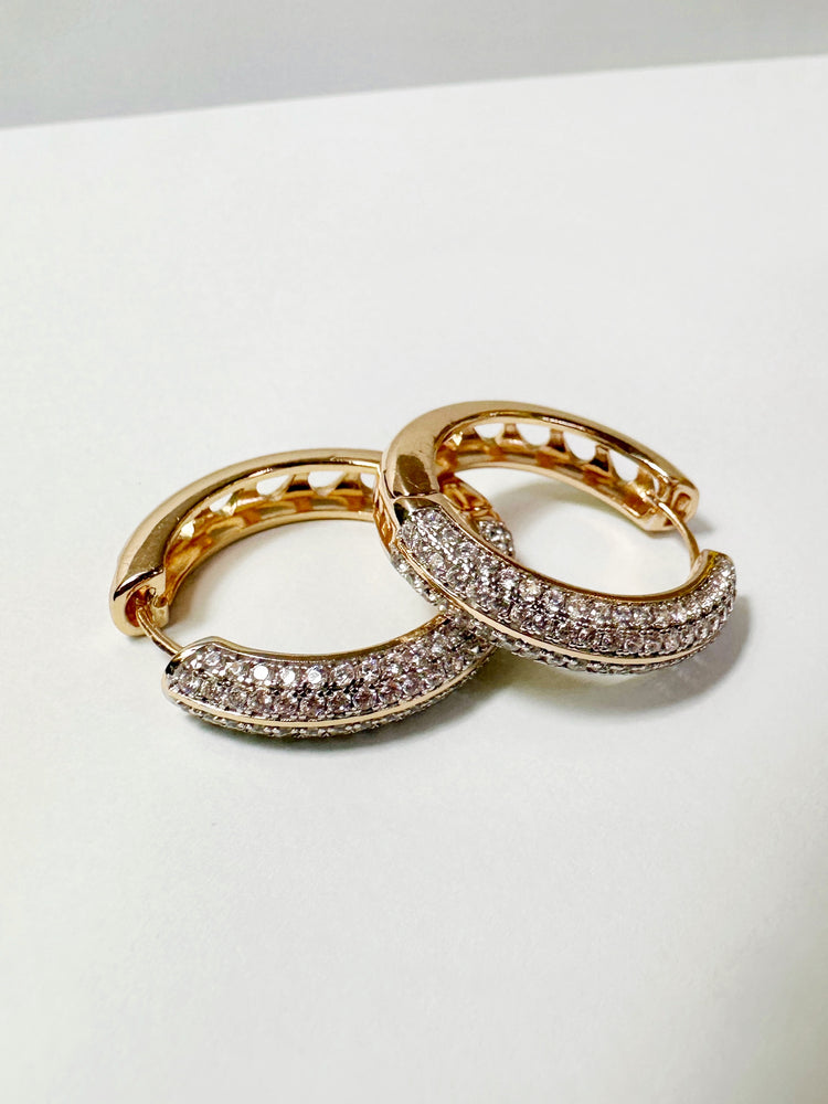 Elegant Hoop Earrings