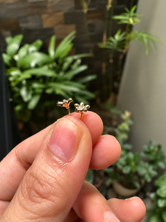 Dainty Blossom Marquise Zirconia Stud Earrings in 14K Gold Tone