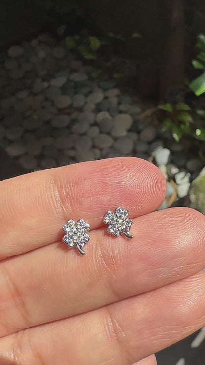 Sparkling Four-Leaf Clover Zirconia Stud Earrings in 14K White-Gold Tone