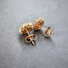 Load image into Gallery viewer, Rosy Studs (12mm) in Gold Tone
