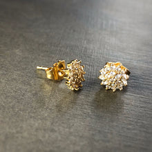 Load image into Gallery viewer, Rosy Studs
