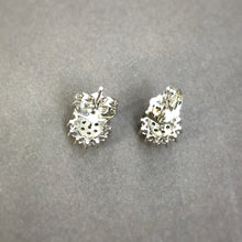 Load image into Gallery viewer, Rosy Studs
