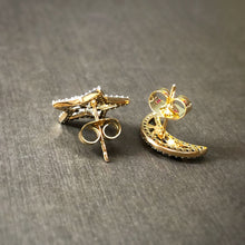 Load image into Gallery viewer, Moonstar Earrings
