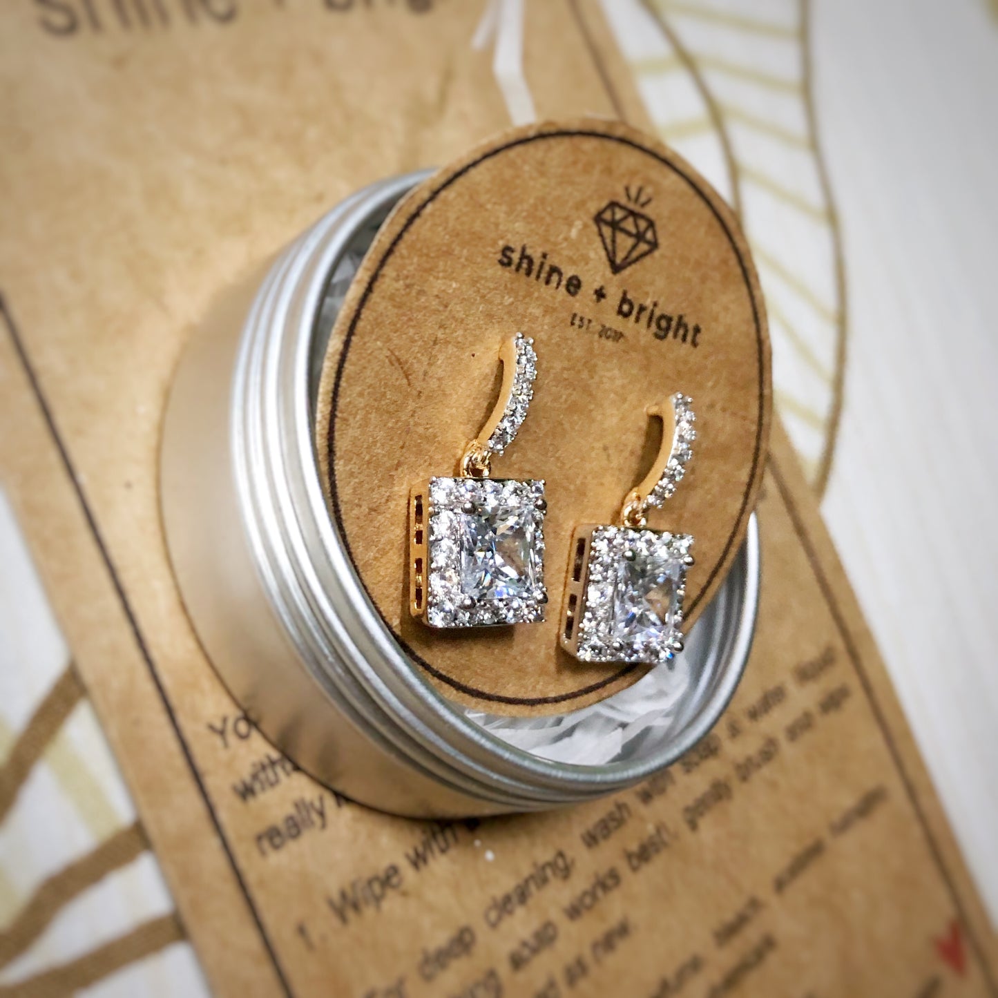 Princess Cut Drop Earrings in Two-Tone